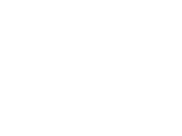 Syddansk Digitalisering